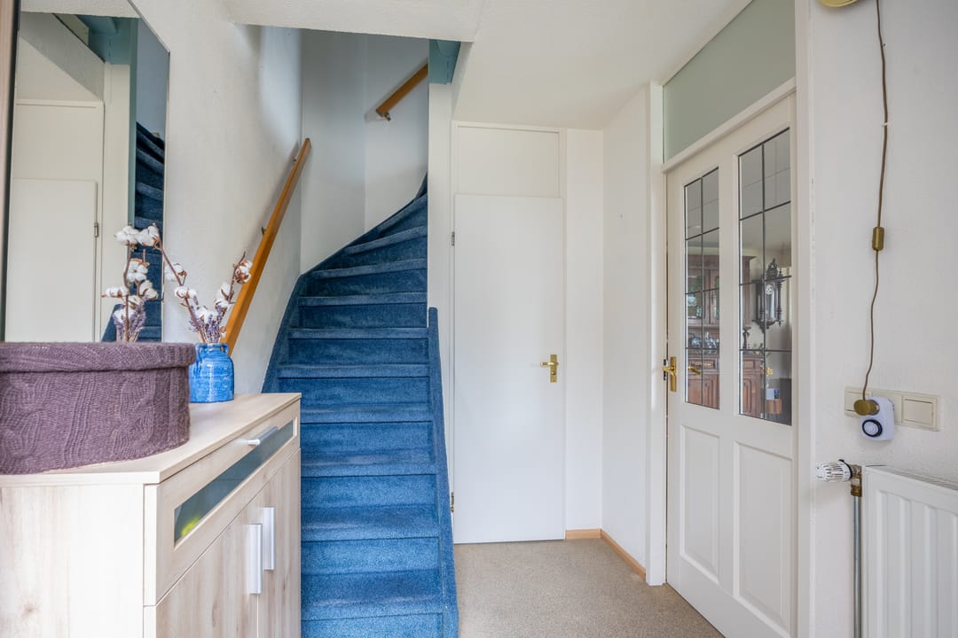 Foto 16 van Penningkruid 45