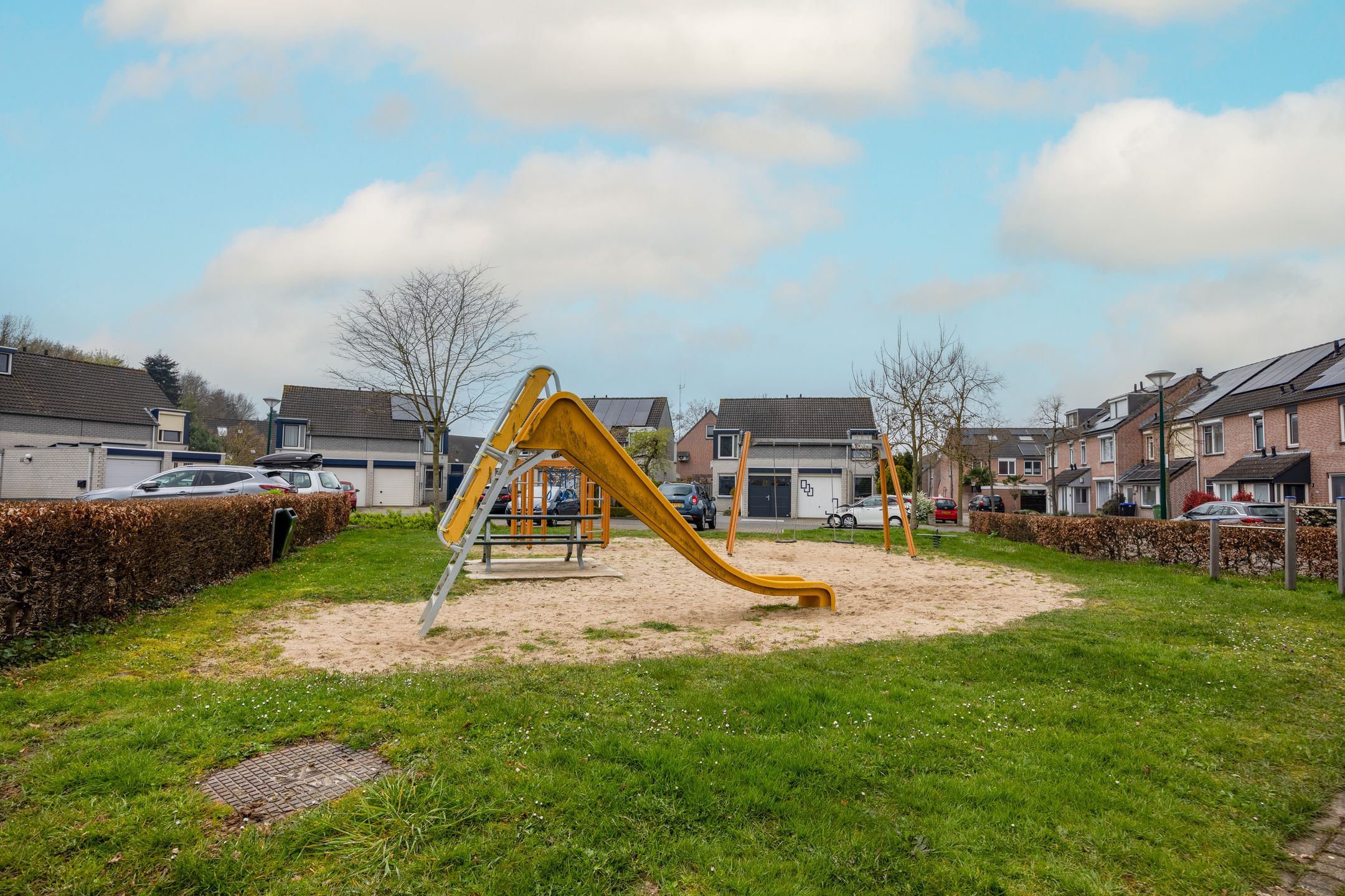 Foto 36 van Penningkruid 45