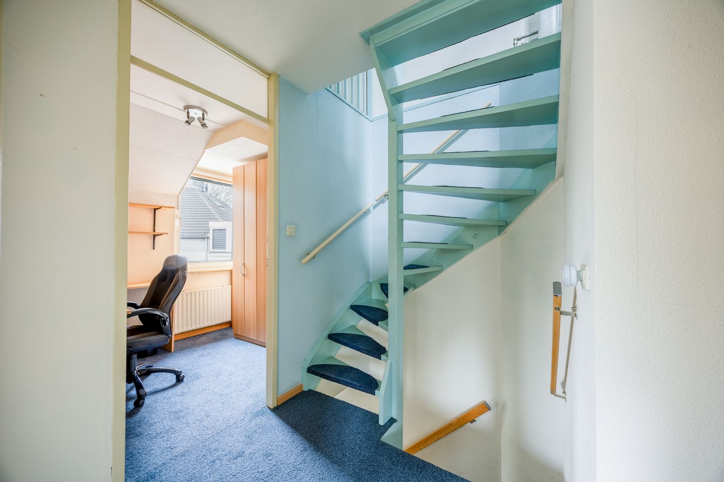 Foto 14 van Penningkruid 45