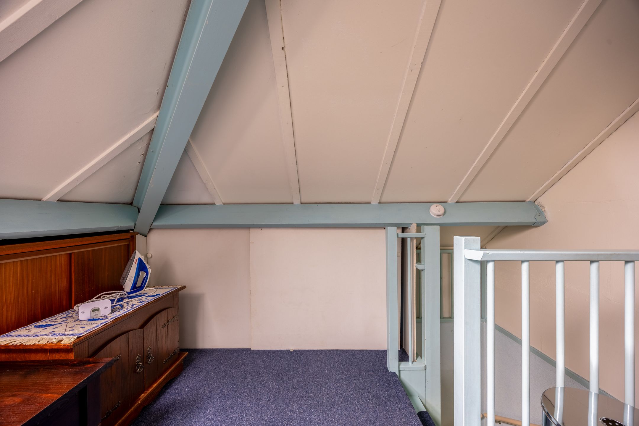 Foto 27 van Penningkruid 45