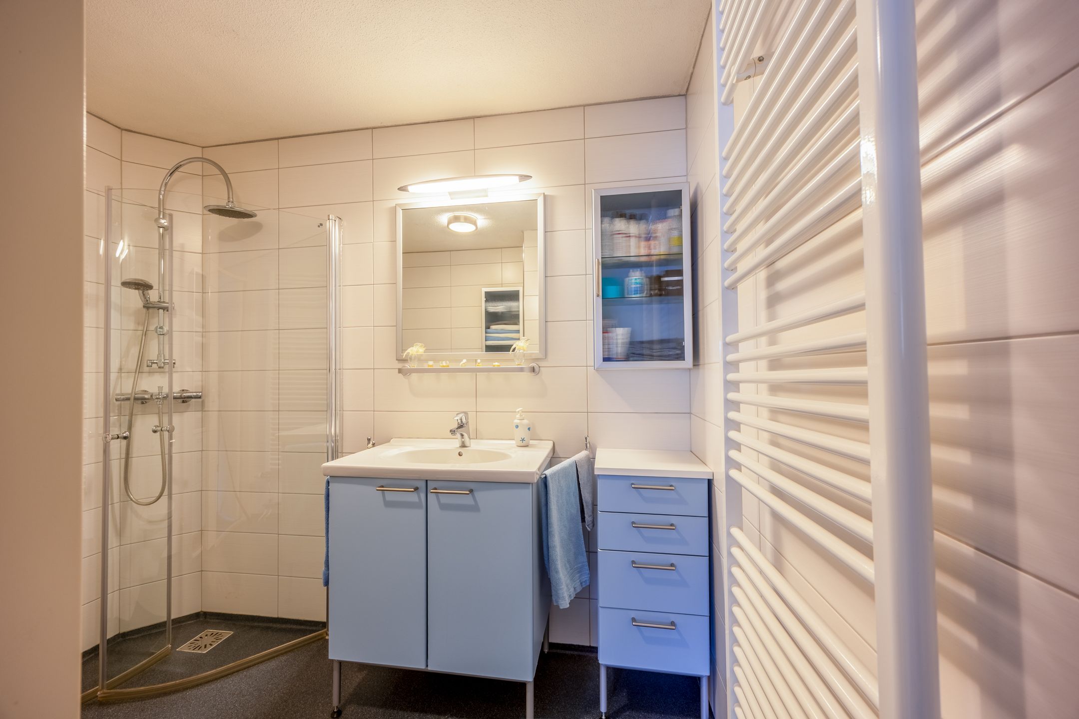 Foto 21 van Penningkruid 45