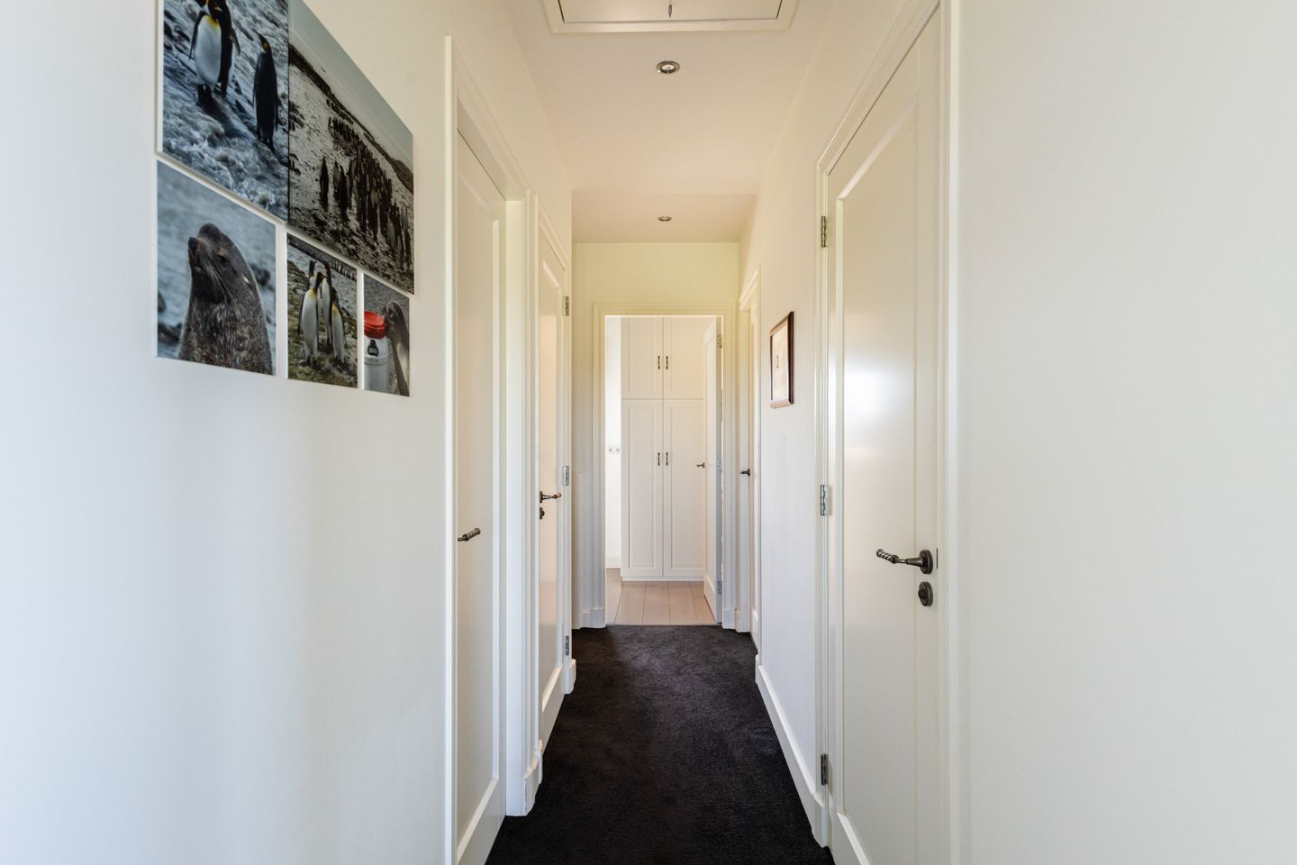 Foto 34 van Meije 172