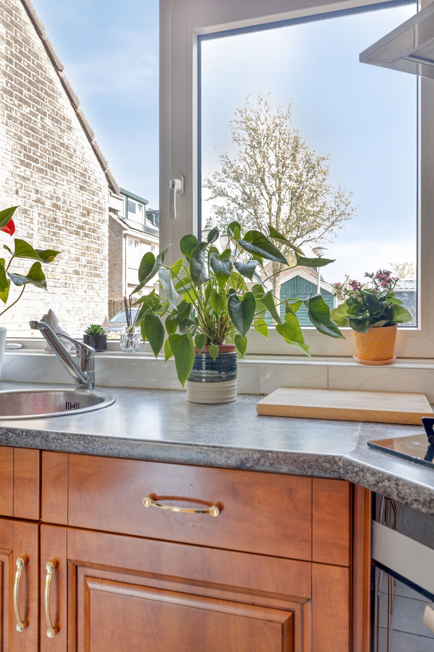 Photo 21 of 't Modderweidje 29