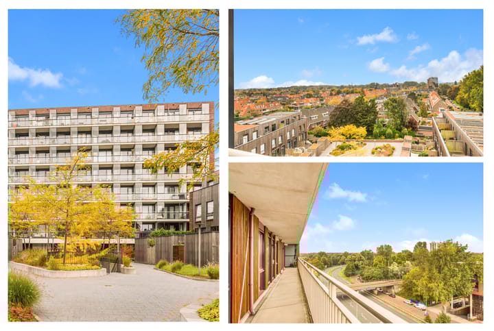 Foto 2 van Pieter van Musschenbroekstraat 201