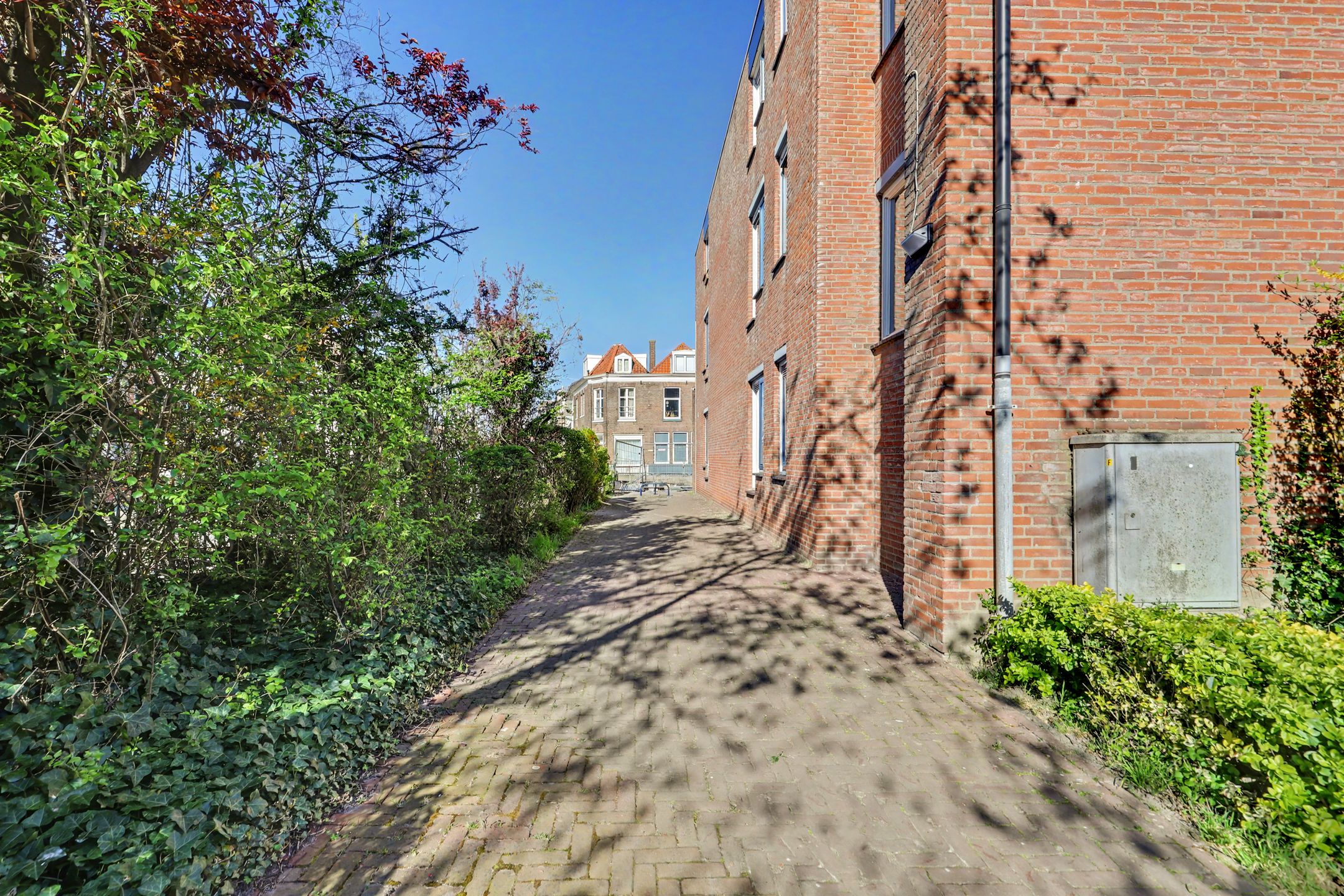 Foto 21 van Van Dishoeckstraat 2