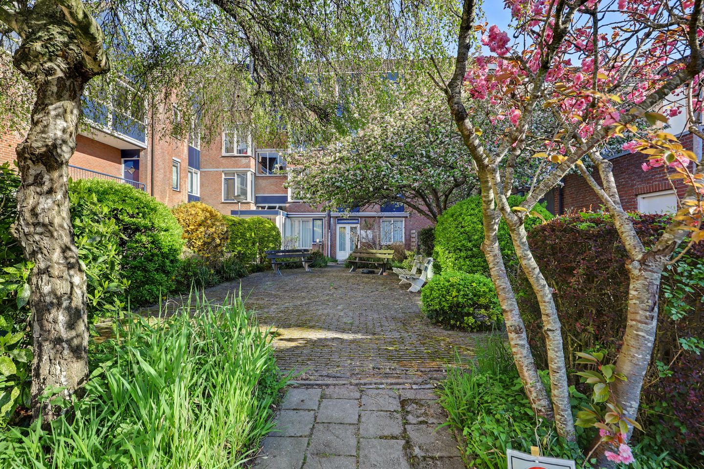 Foto 19 van Van Dishoeckstraat 2