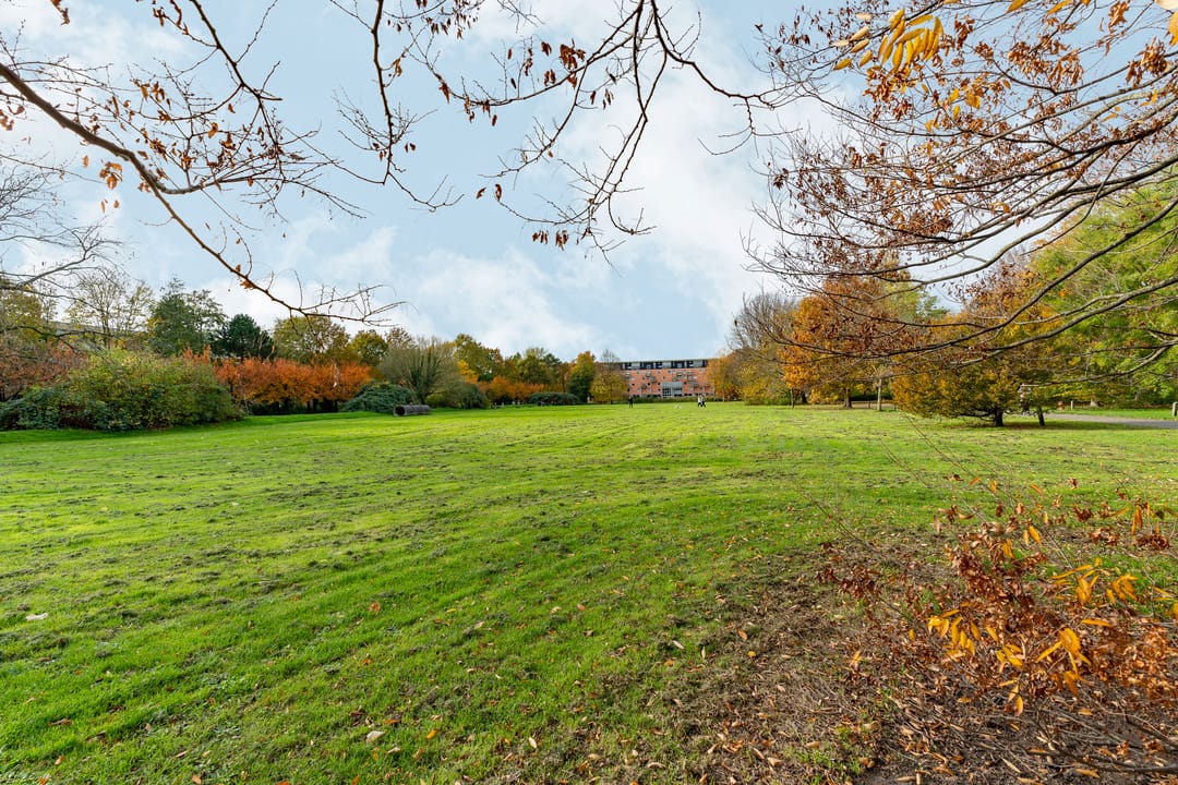 Foto 31 van Nat King Colestraat 23