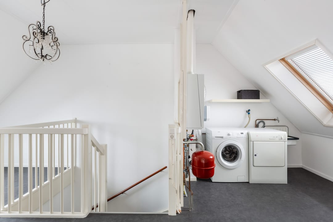 Foto 53 van Gelderse Roos 109