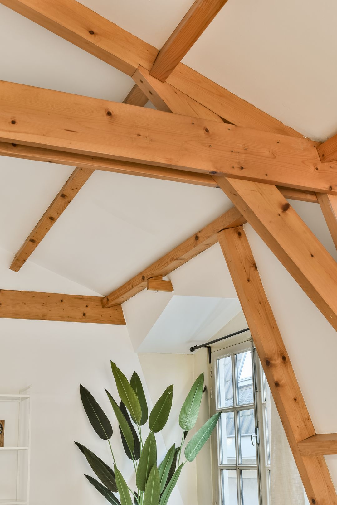 Foto 11 van Pieter Jacobszstraat 28