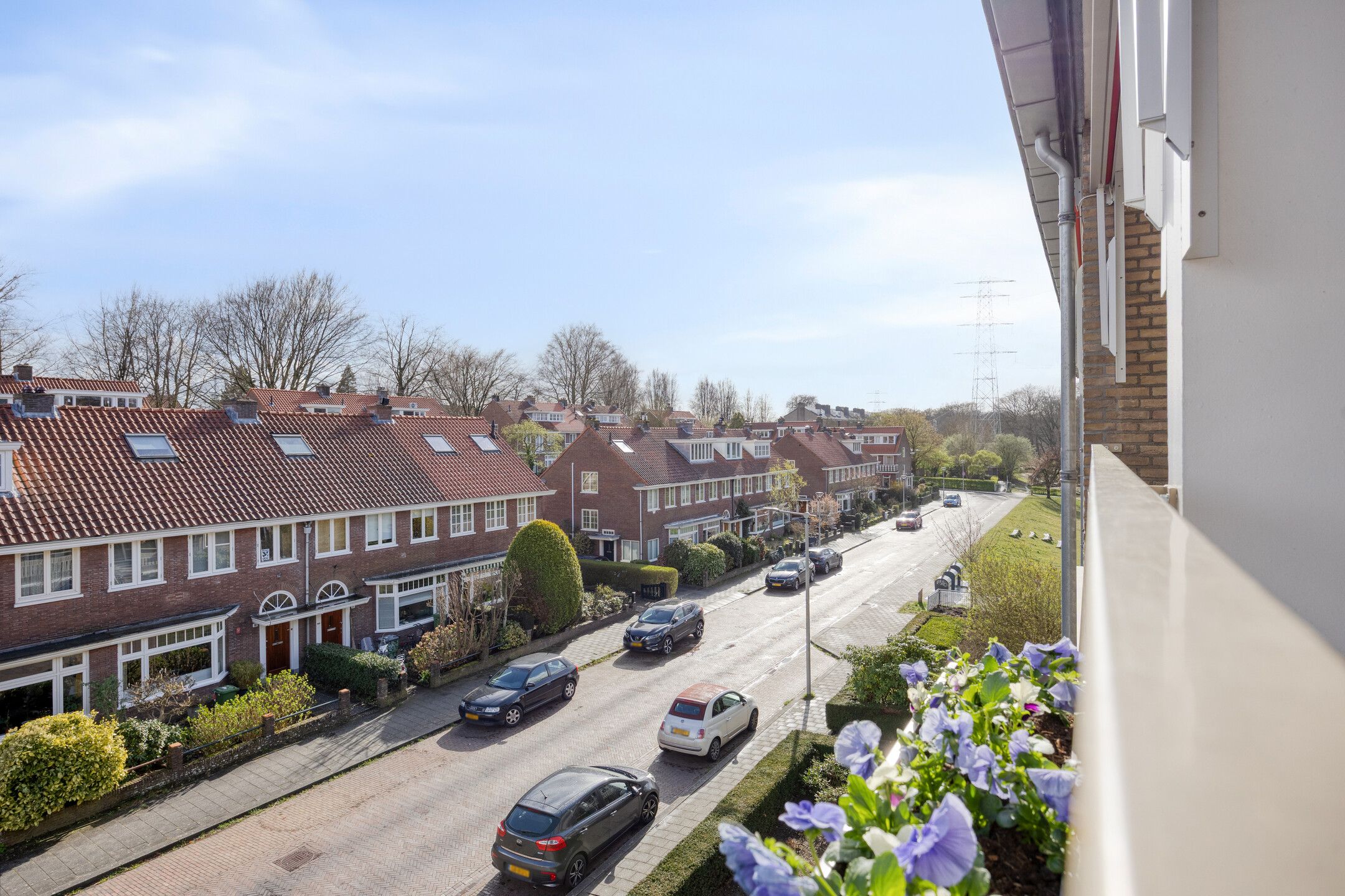 Foto 12 van Witsenstraat 12-3