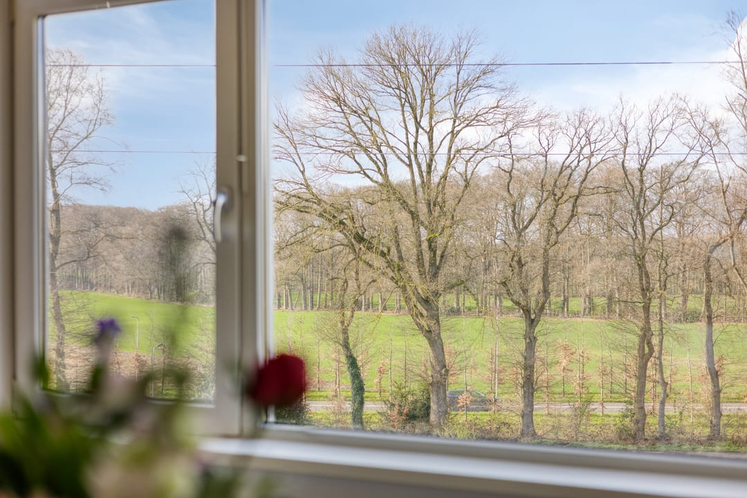 Foto 16 van Witsenstraat 12-3