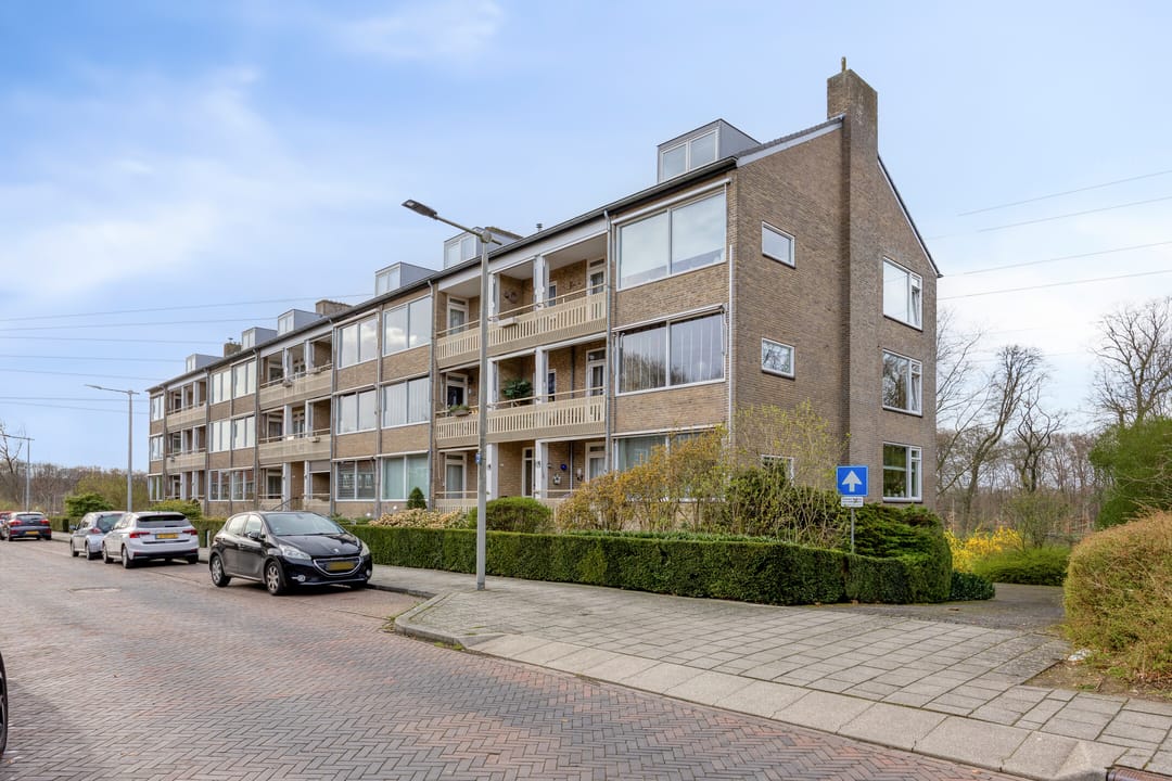 Foto 37 van Witsenstraat 12-3