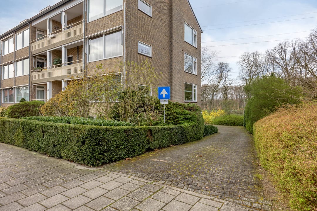 Foto 38 van Witsenstraat 12-3