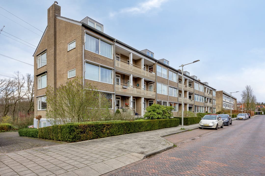 Foto 41 van Witsenstraat 12-3