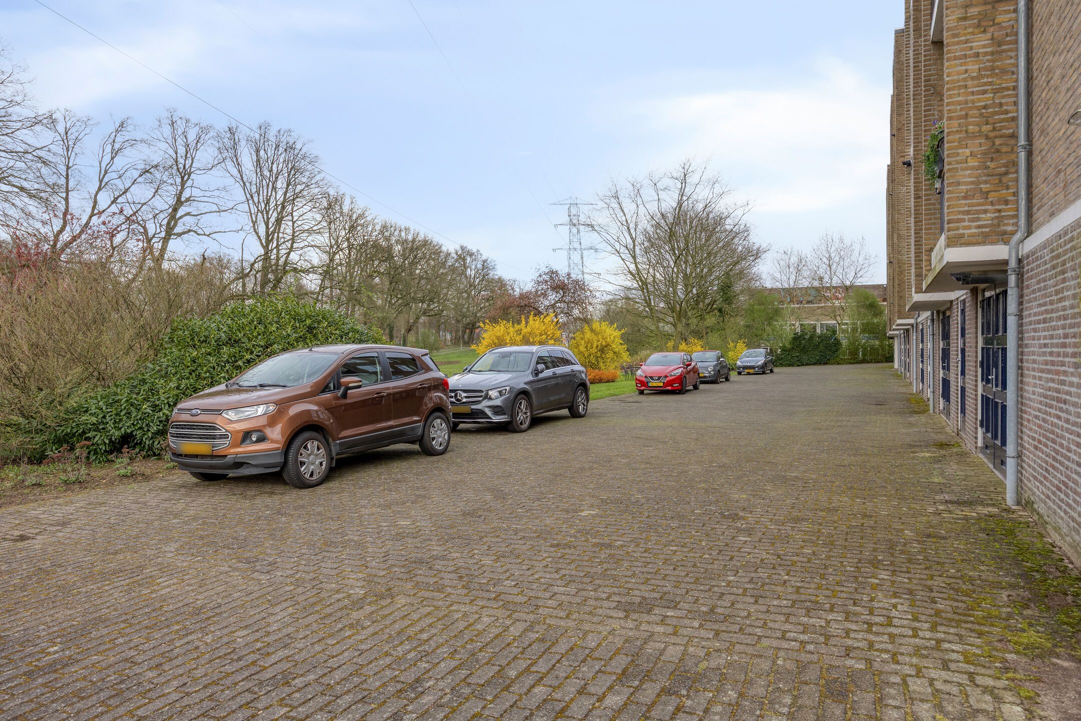 Foto 39 van Witsenstraat 12-3