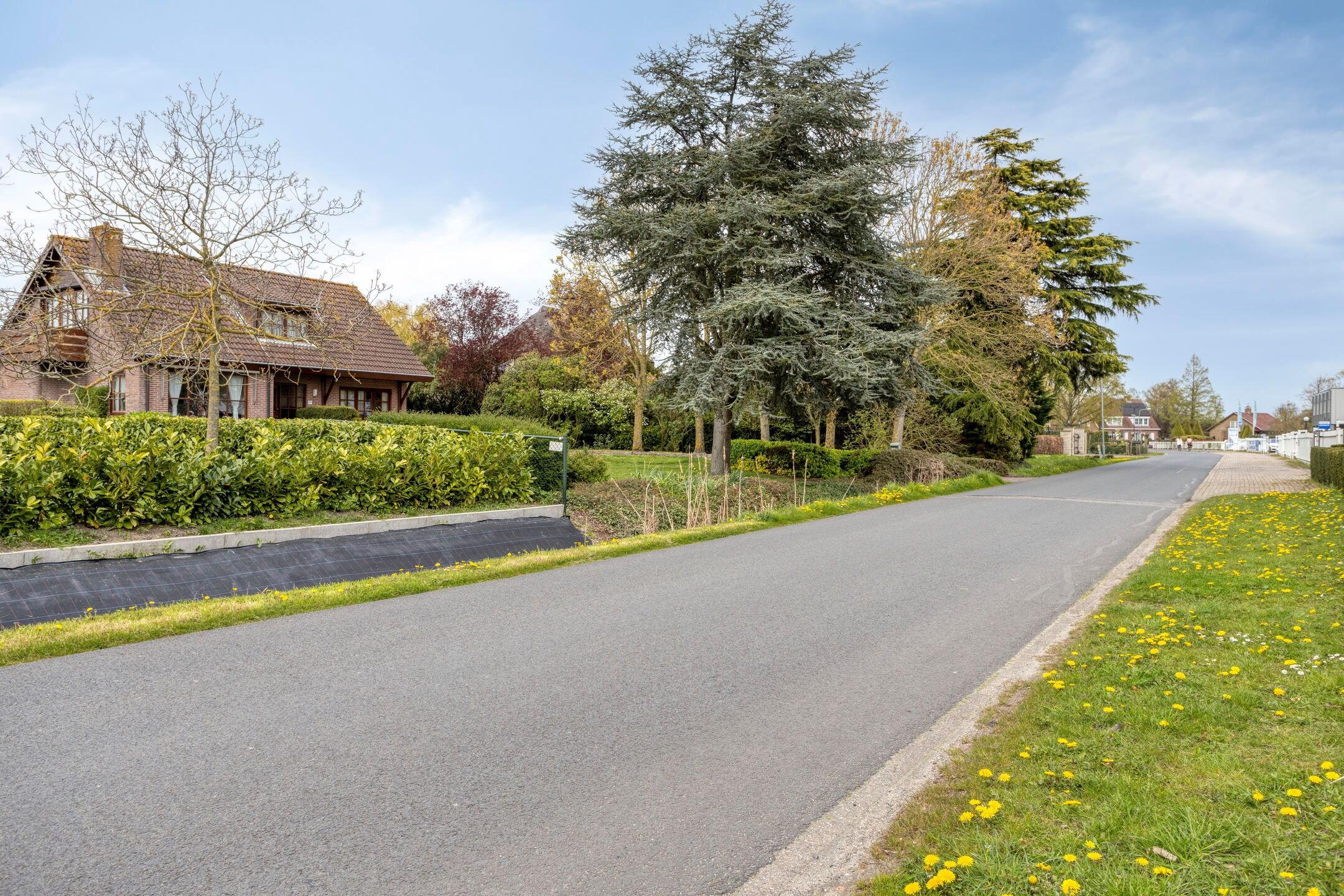 Foto 39 van Grintweg 19-A