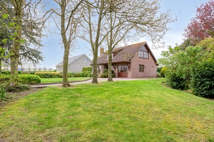 Foto 4 van Grintweg 19-A