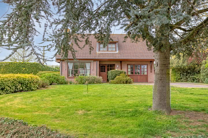 Foto 2 van Grintweg 19-A