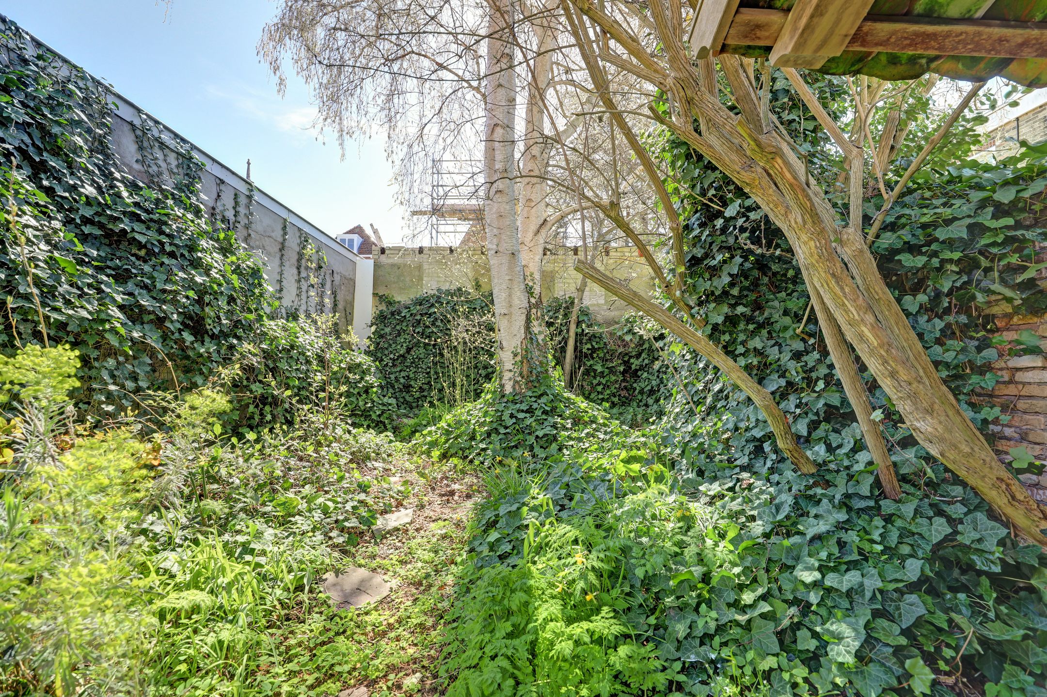 Foto 36 van Rommelhaven 8