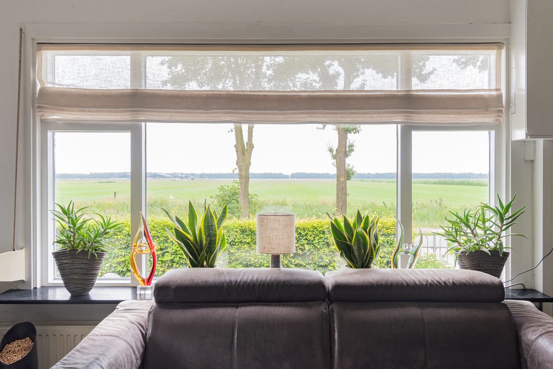 Foto 23 van Westelijke Doorsnee NZ 61