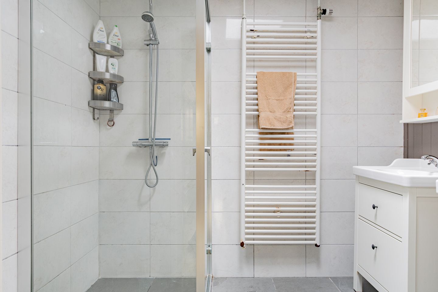 Foto 25 van Westelijke Doorsnee NZ 61