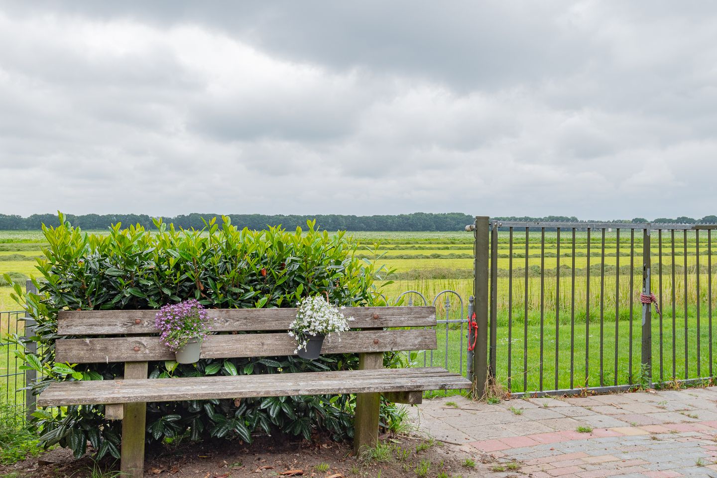 Foto 44 van Westelijke Doorsnee NZ 61