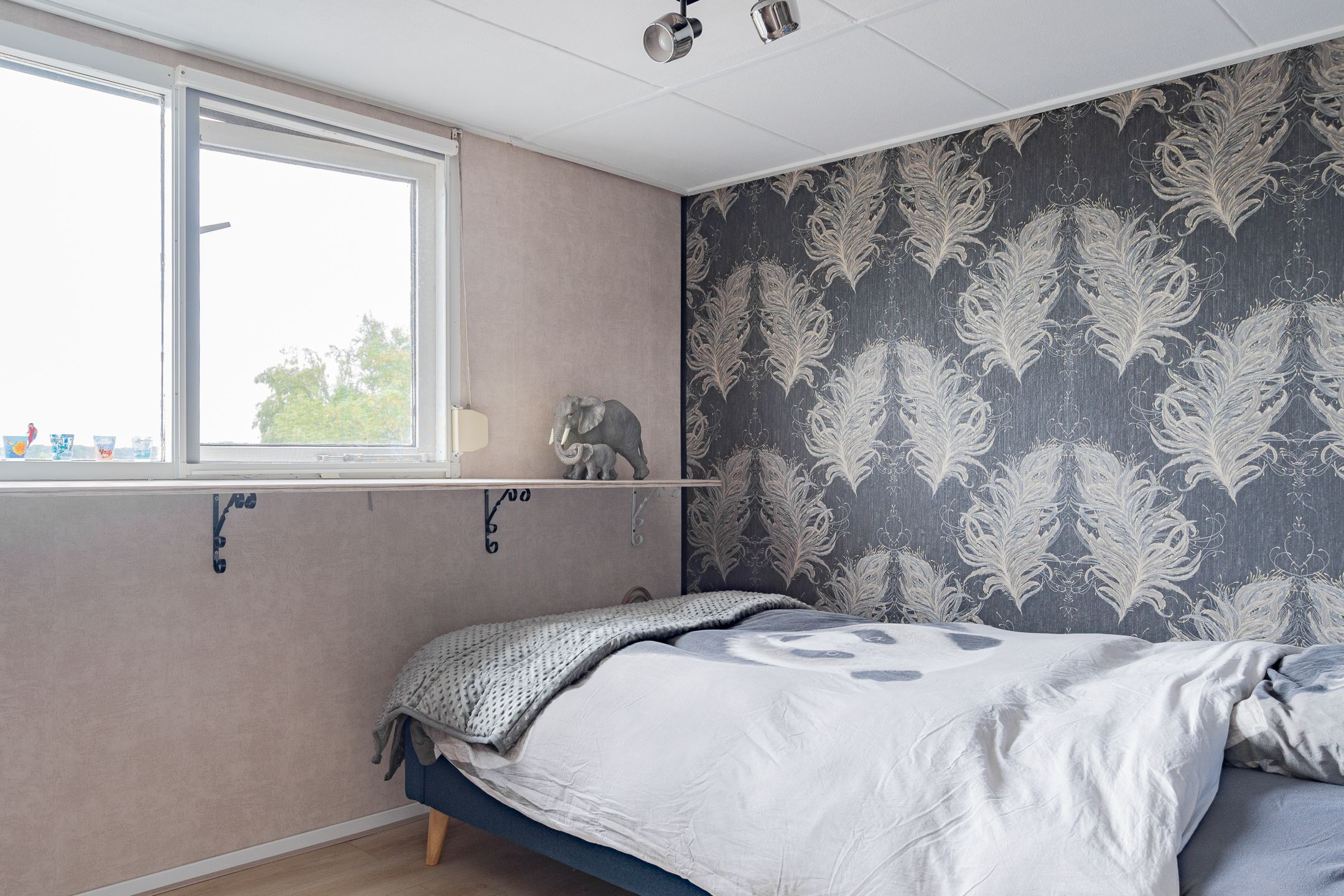 Foto 30 van Westelijke Doorsnee NZ 61