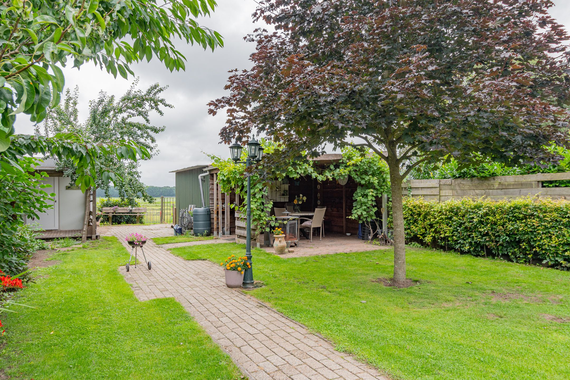 Foto 42 van Westelijke Doorsnee NZ 61