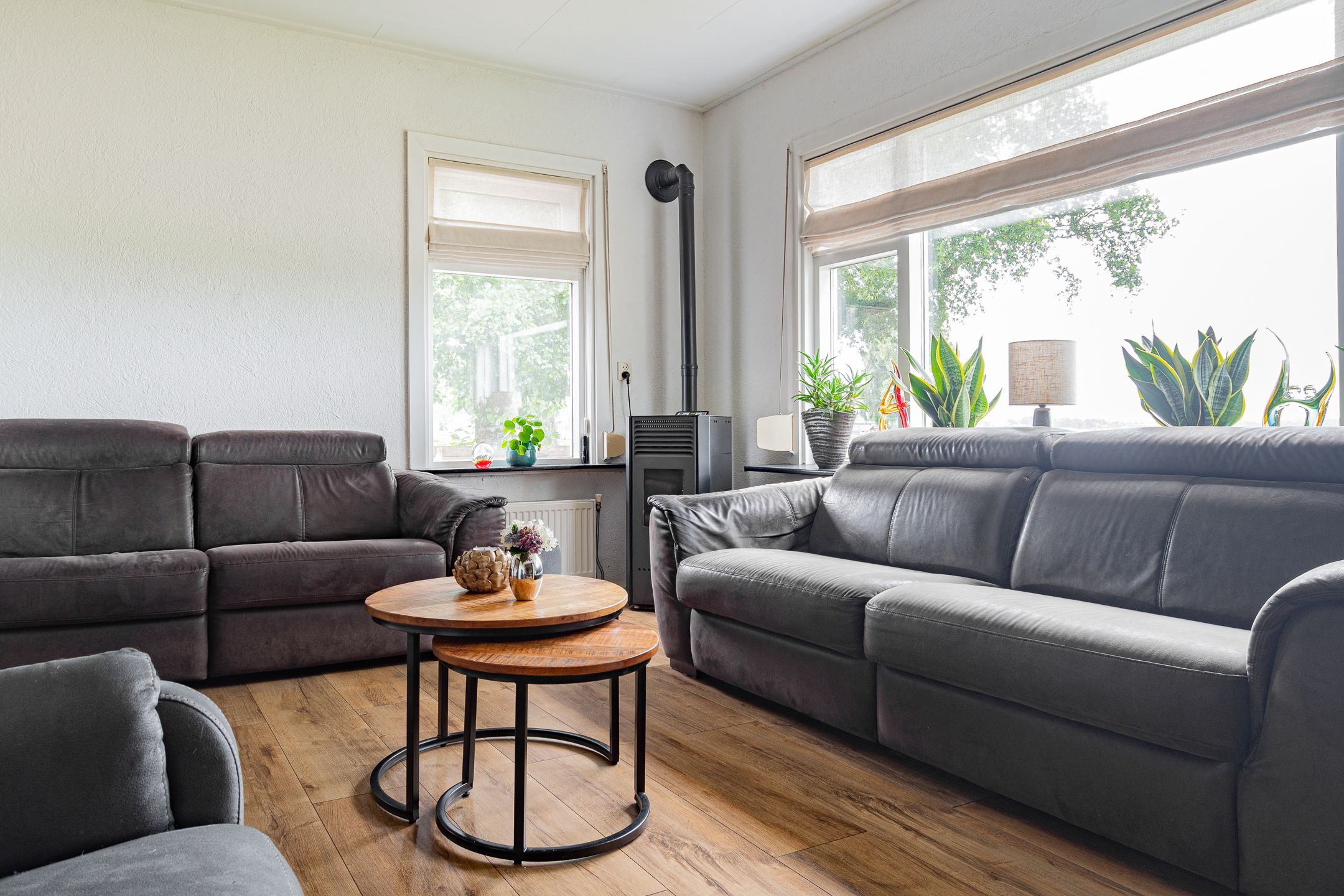 Foto 21 van Westelijke Doorsnee NZ 61