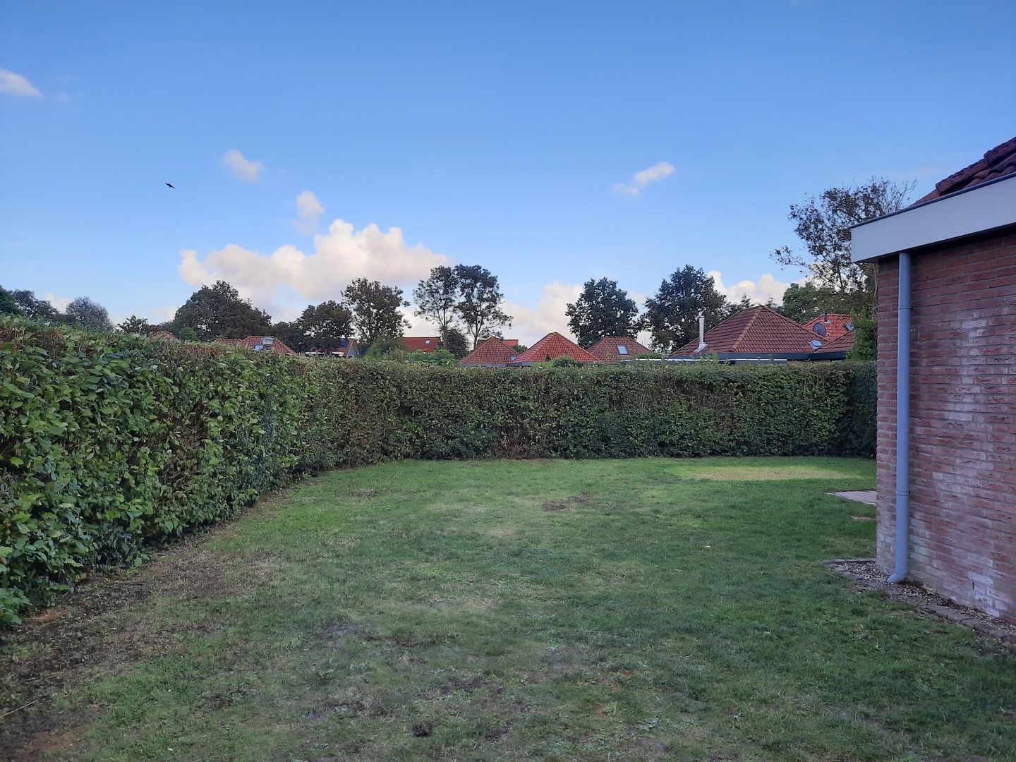 Foto 10 van Buitenplaats Herkingen 25-D