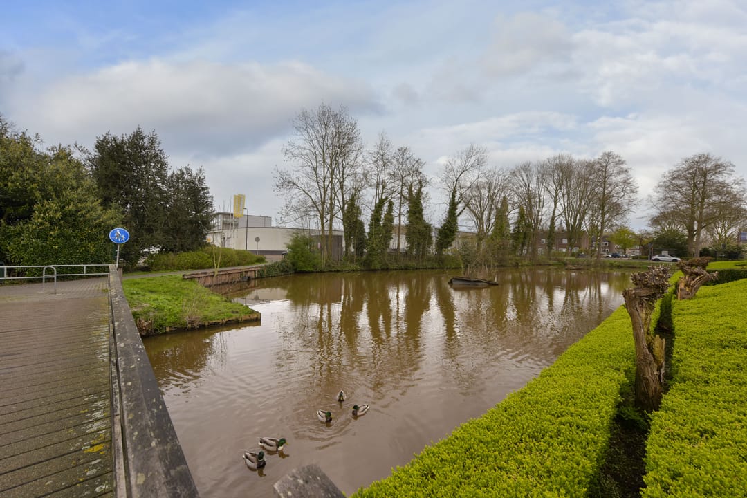 Foto 26 van Scholeksterlaan 12