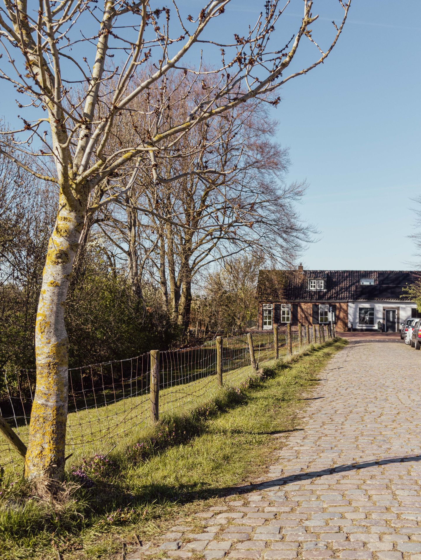 Foto 80 van Peerenboom 7