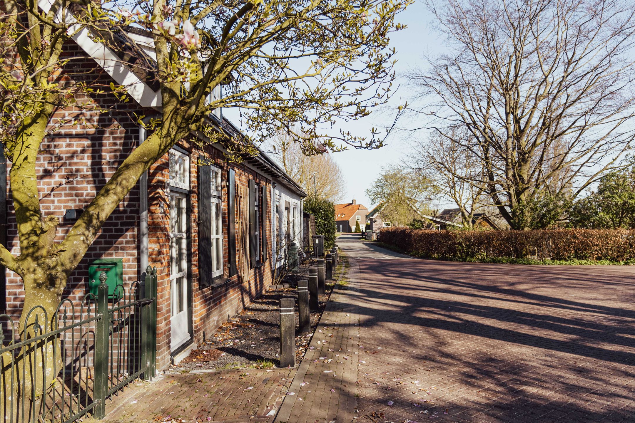 Foto 6 van Peerenboom 7