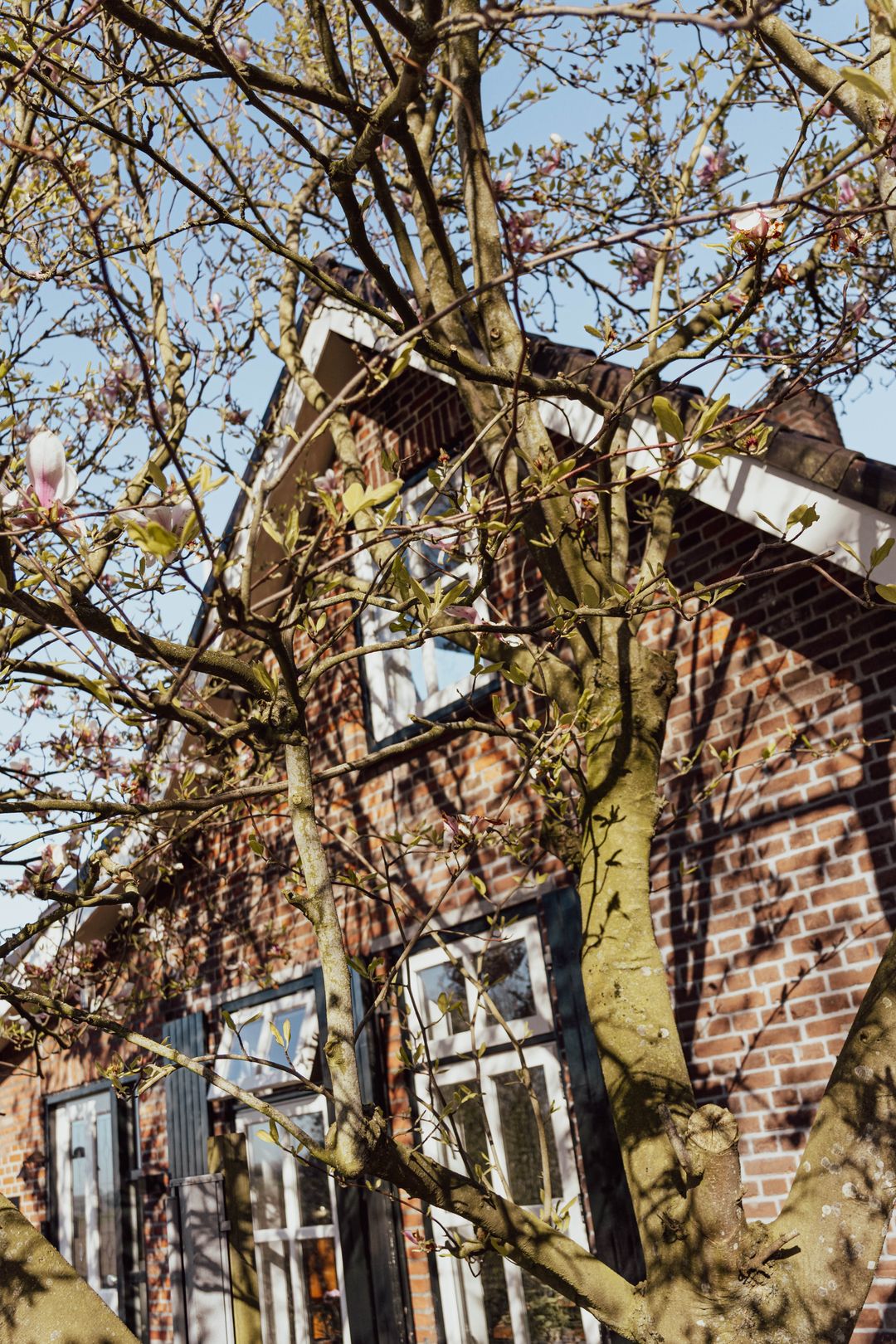 Foto 8 van Peerenboom 7