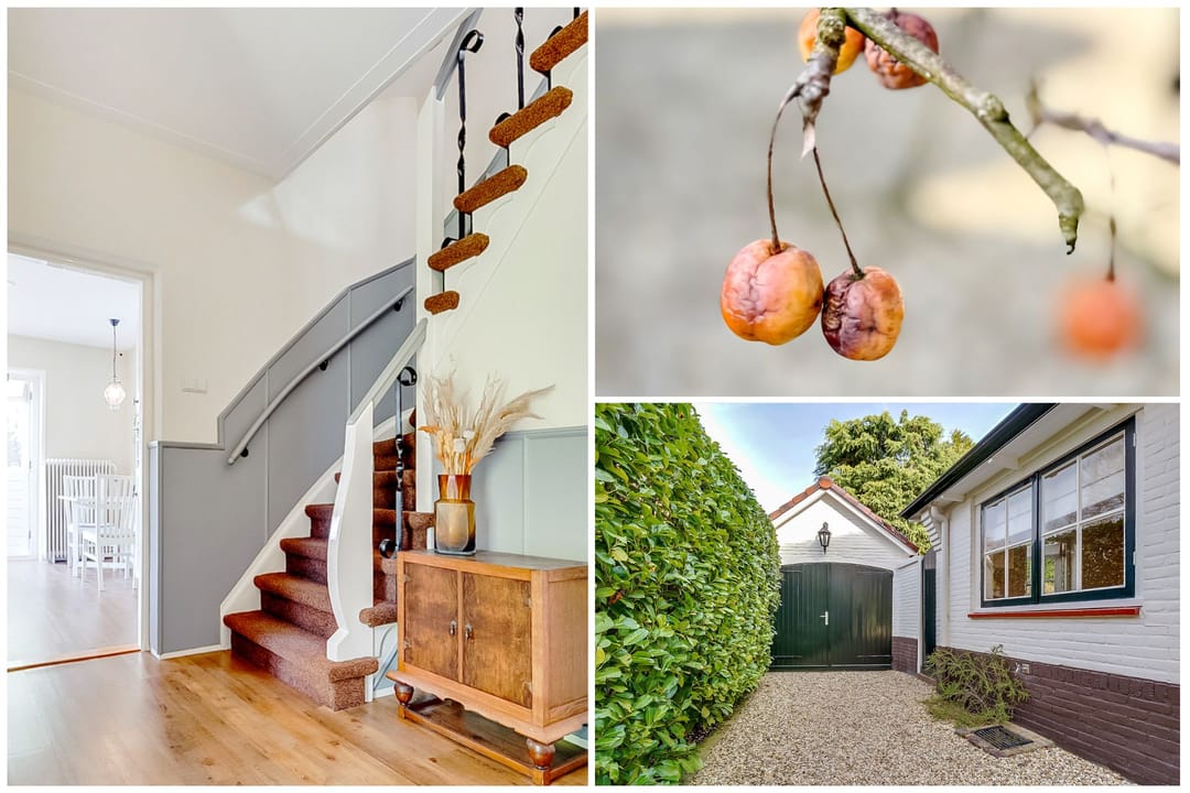 Foto 8 van Kolhornseweg 18