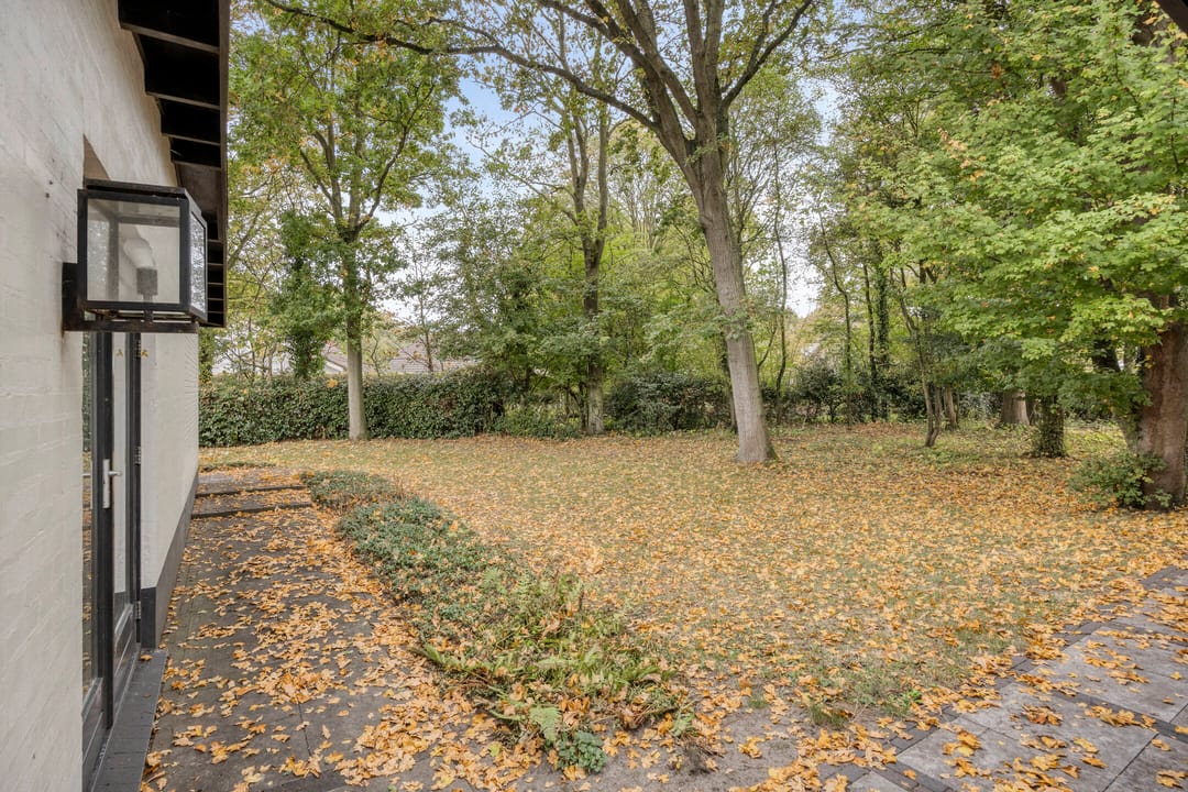 Photo 32 of Park Reygersbergh 11