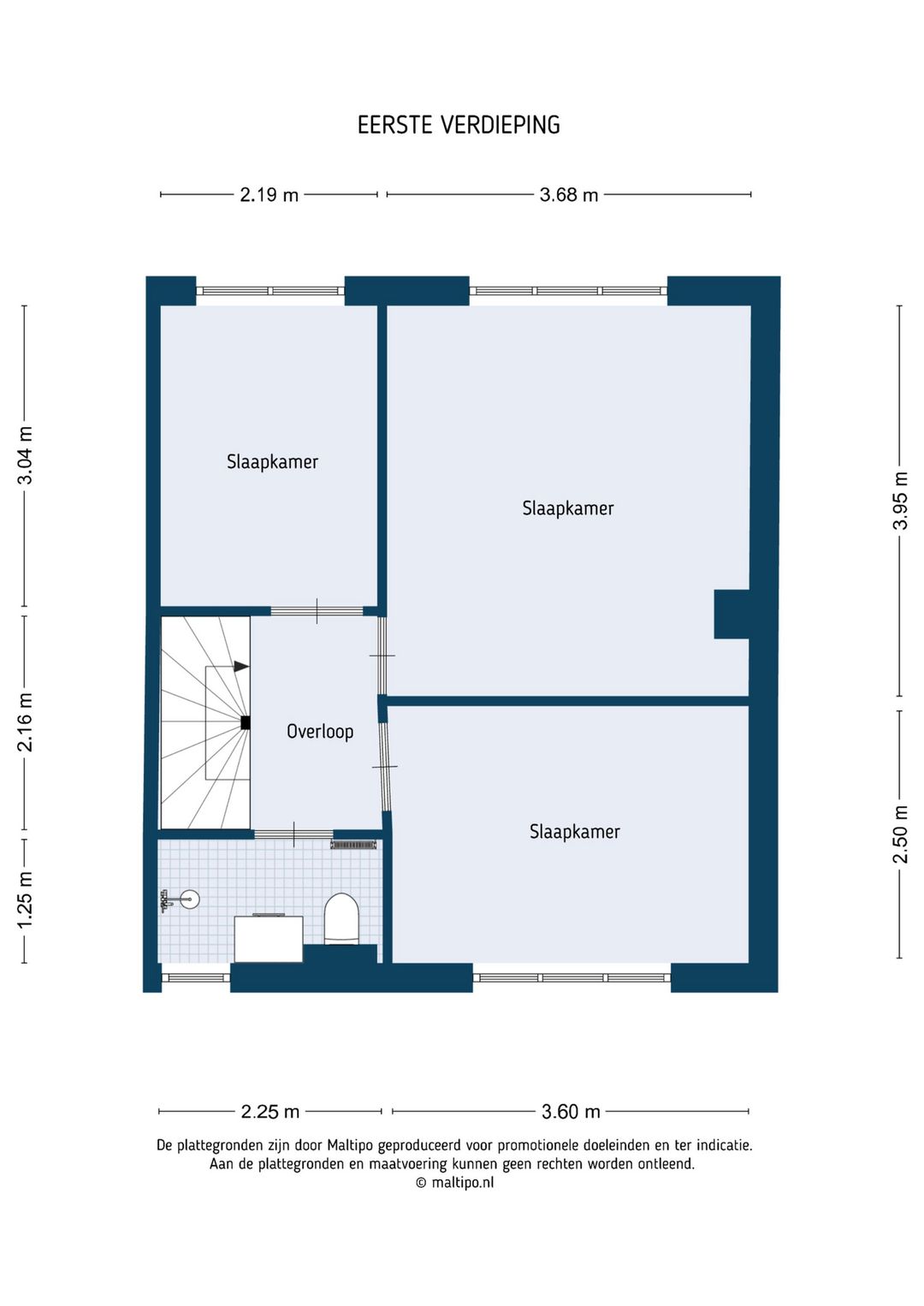 Photo 41 of Iepenlaan 19