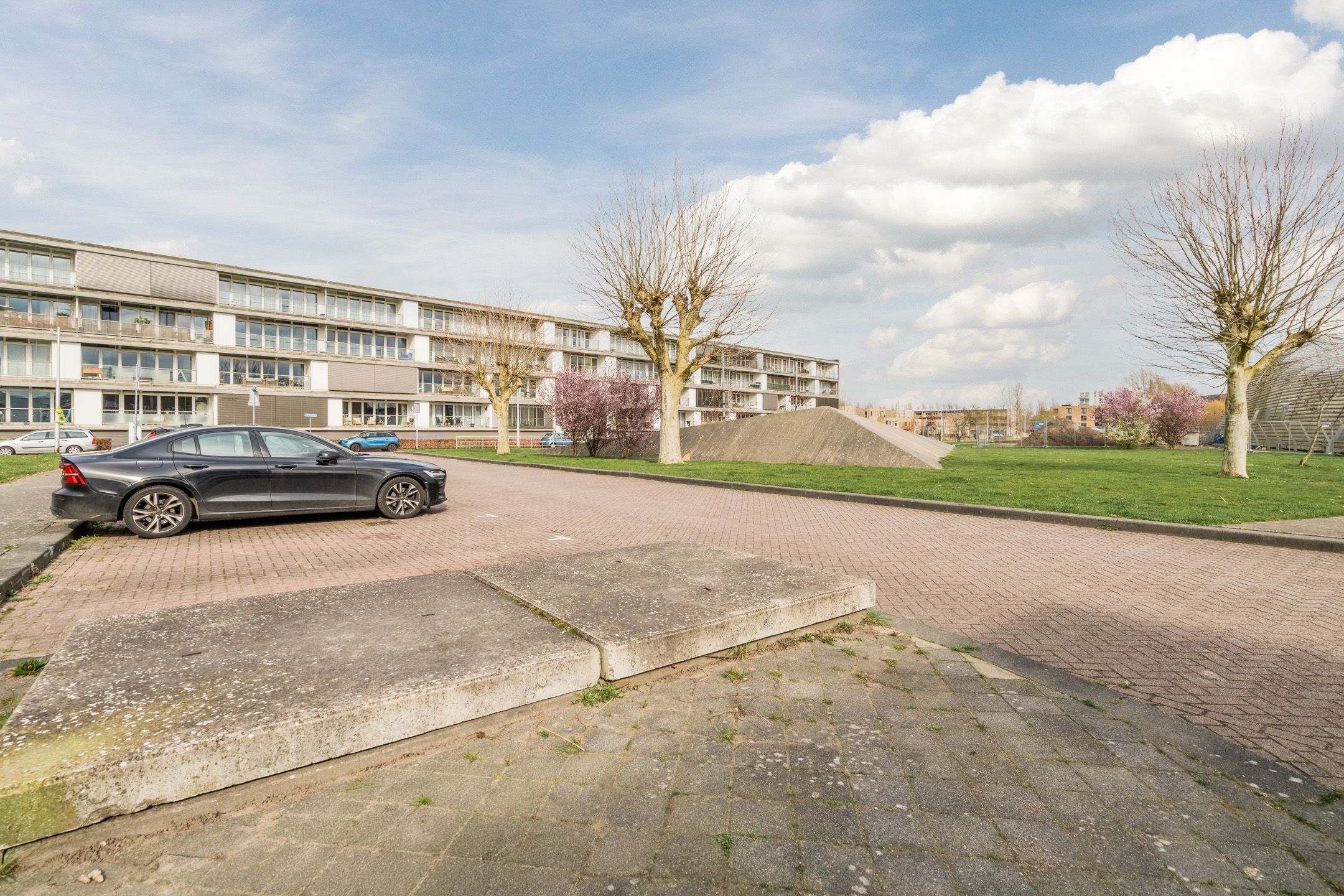 Foto 75 van Paul Burkhardplantsoen 14