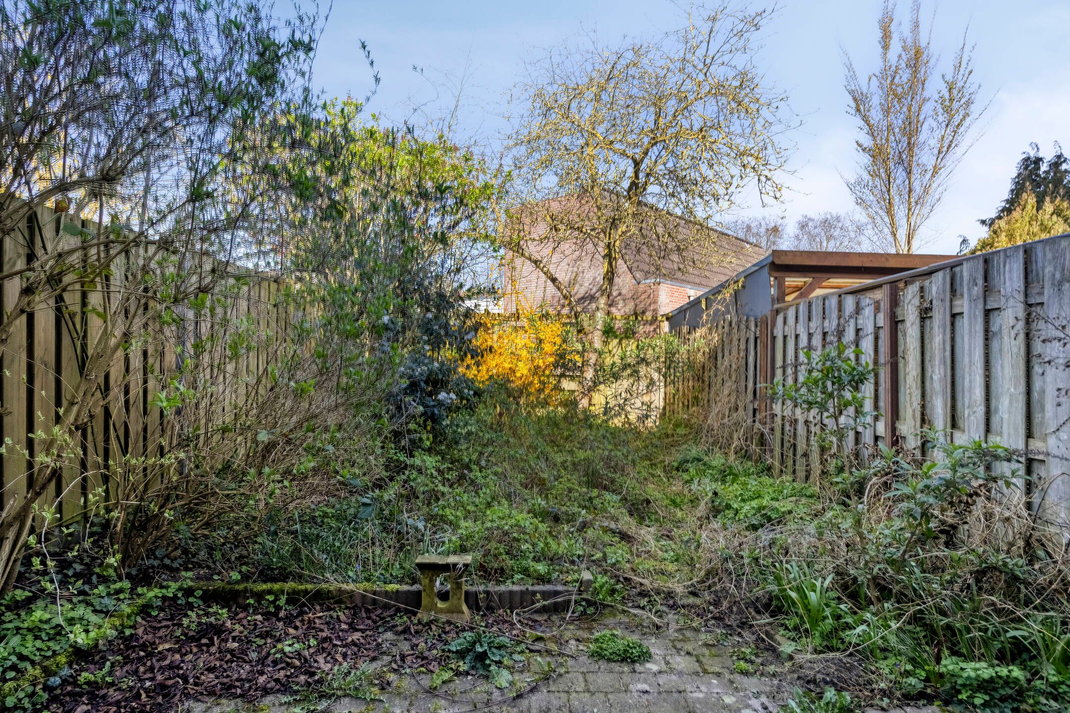 Foto 27 van Teteringenstraat 36