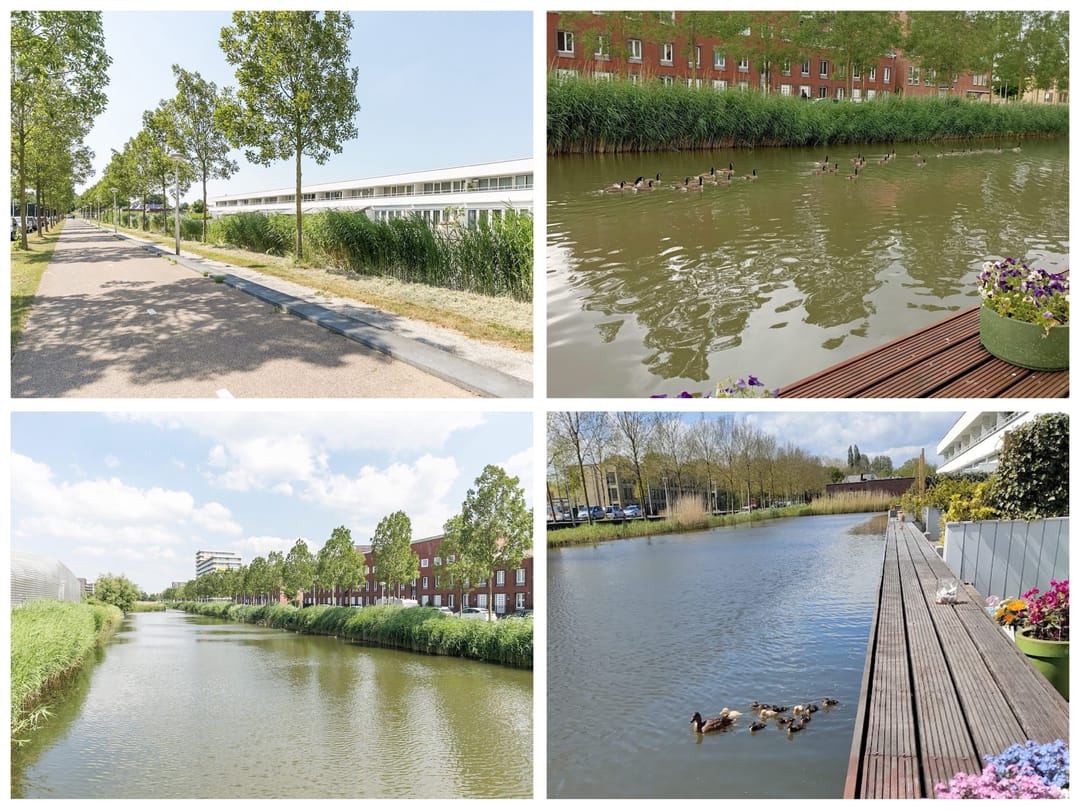 Foto 76 van Paul Burkhardplantsoen 14