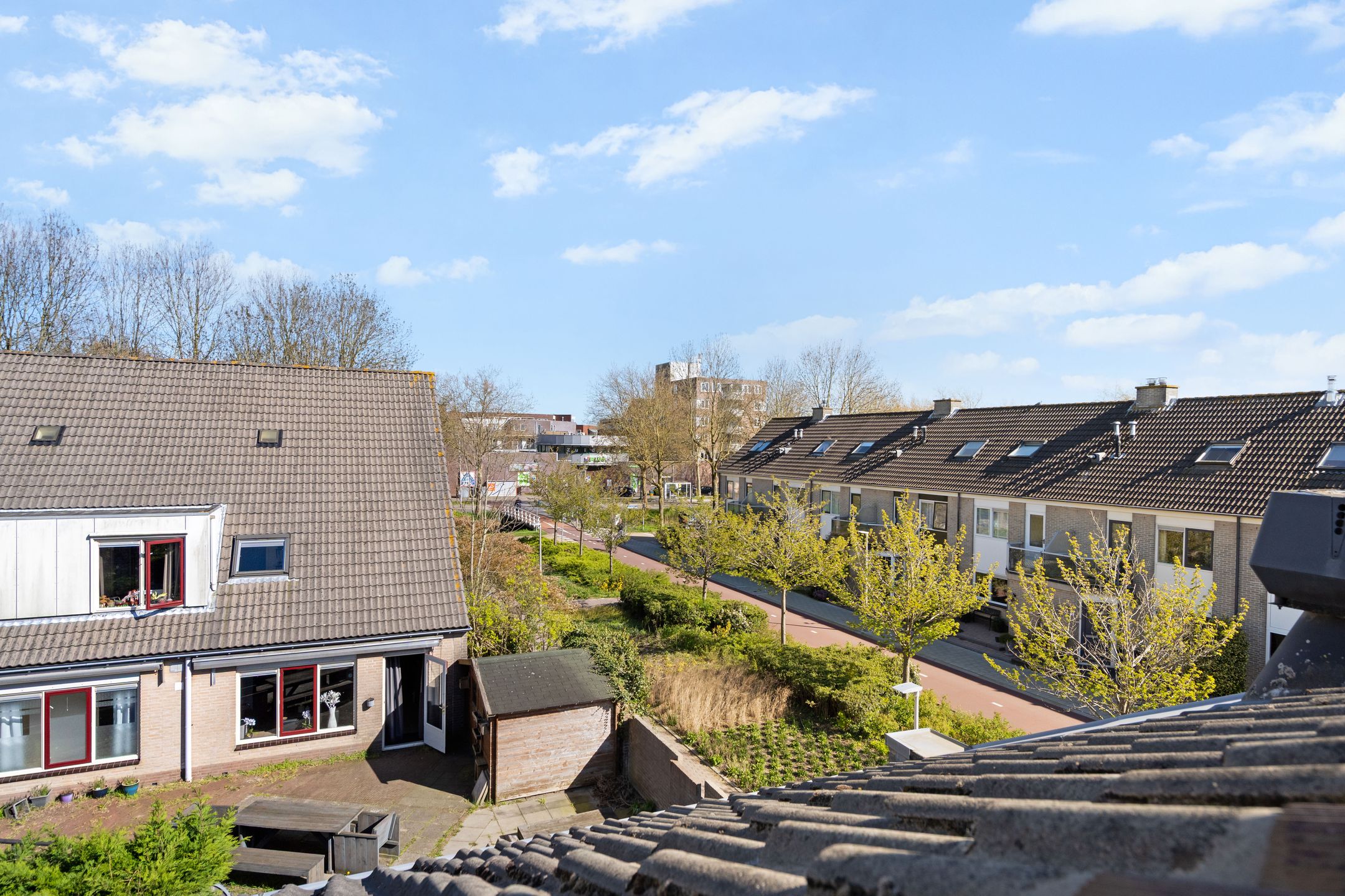 Foto 33 van Roosje Voshoeve 1