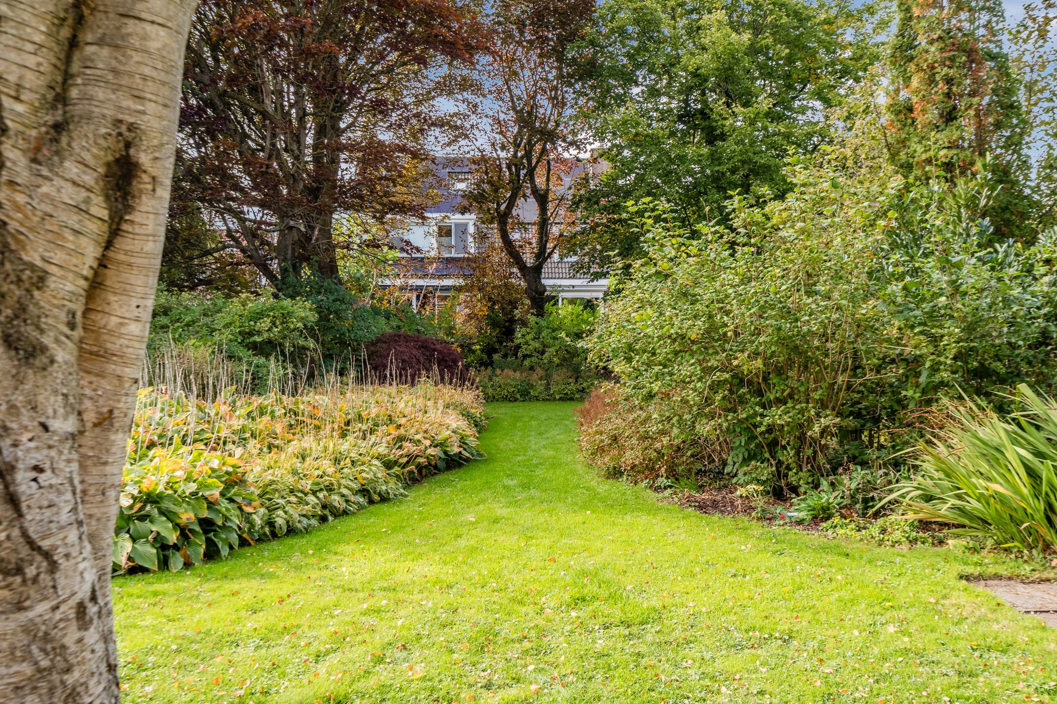 Photo 75 of Burgemeester Colijnstraat 54