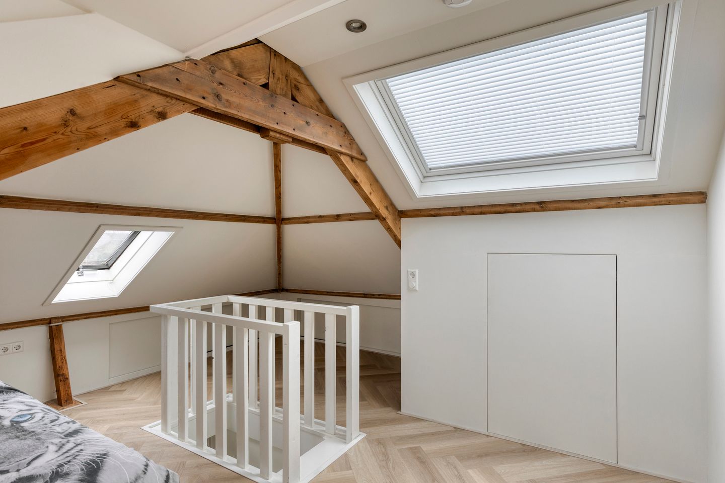 Foto 25 van Prinsesselaan 11