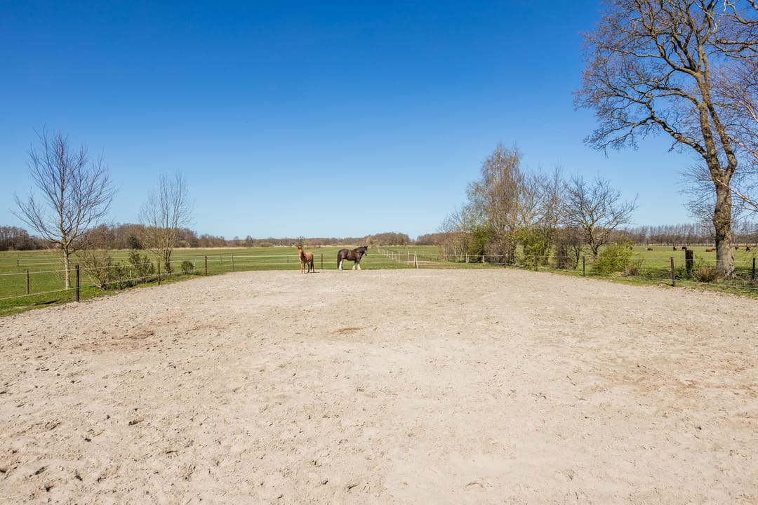 Foto 2 van Armweide 31