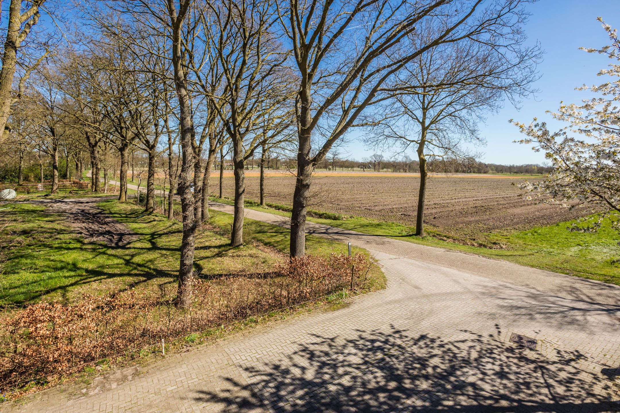 Foto 36 van Armweide 31