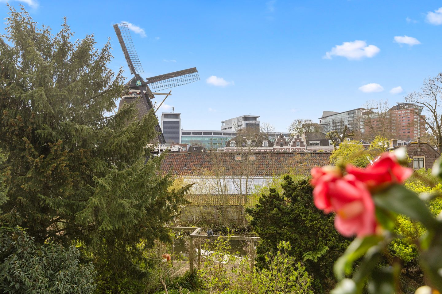 Foto 4 van Van Riebeeckstraat 18-BS