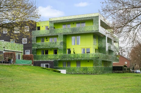 Koningspage thumbnail