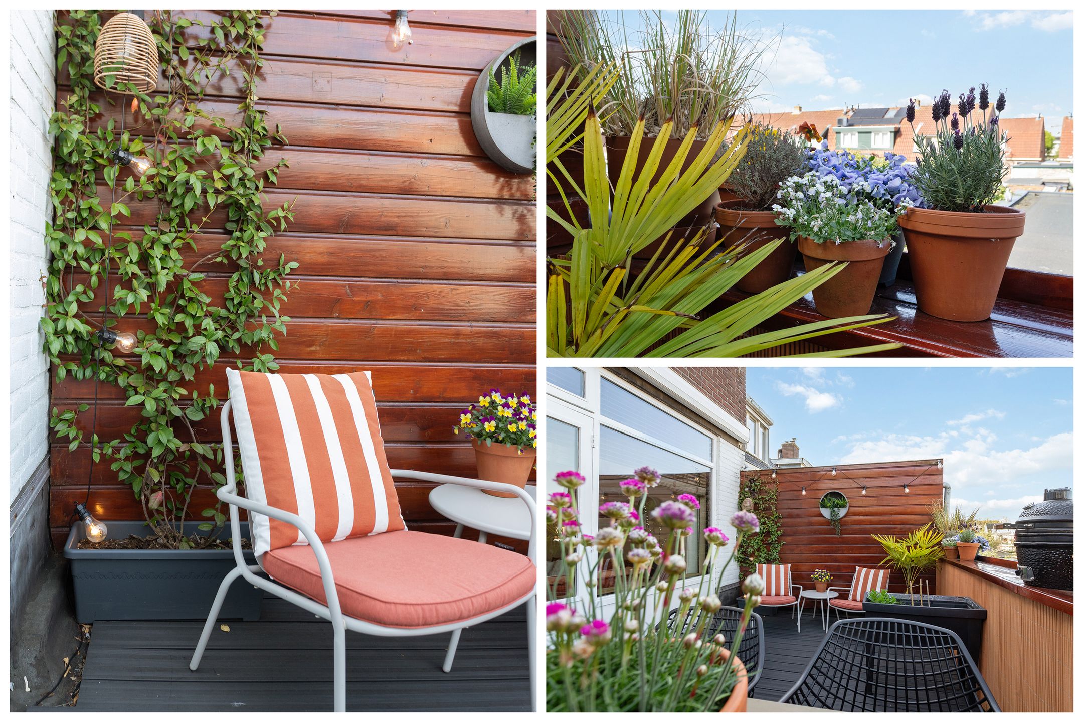 Foto 12 van Noordeindestraat 41