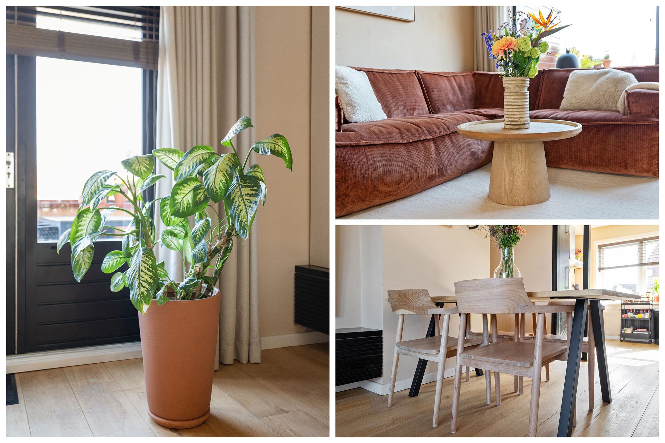 Foto 9 van Noordeindestraat 41