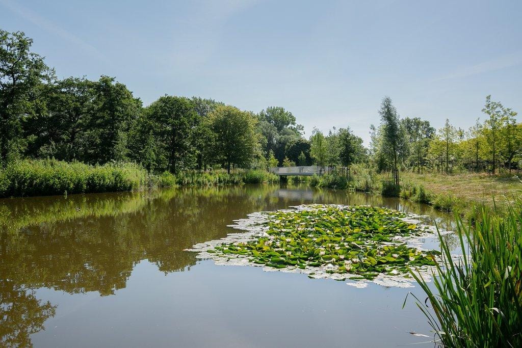Photo 38 of Rijksstraatweg 128-B